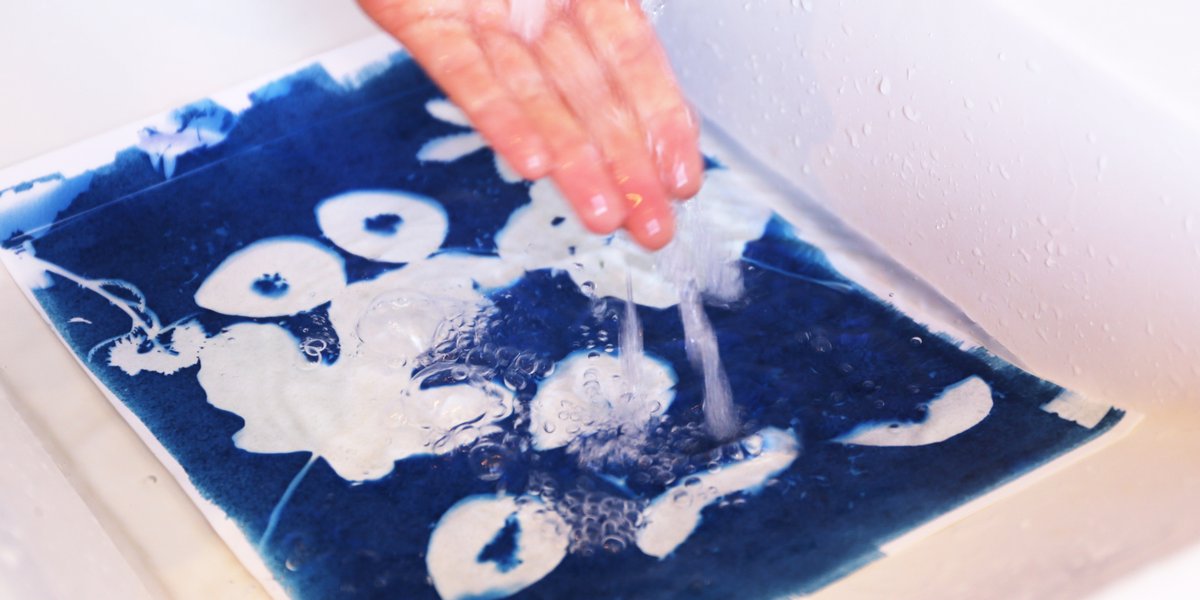 Cyanotypes
